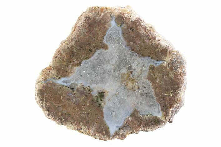 Polished Mexican Thunderegg Half #373359